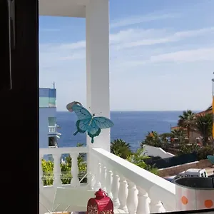 https://guest-house-the-magic-dragonfly.in-canary-islands.com